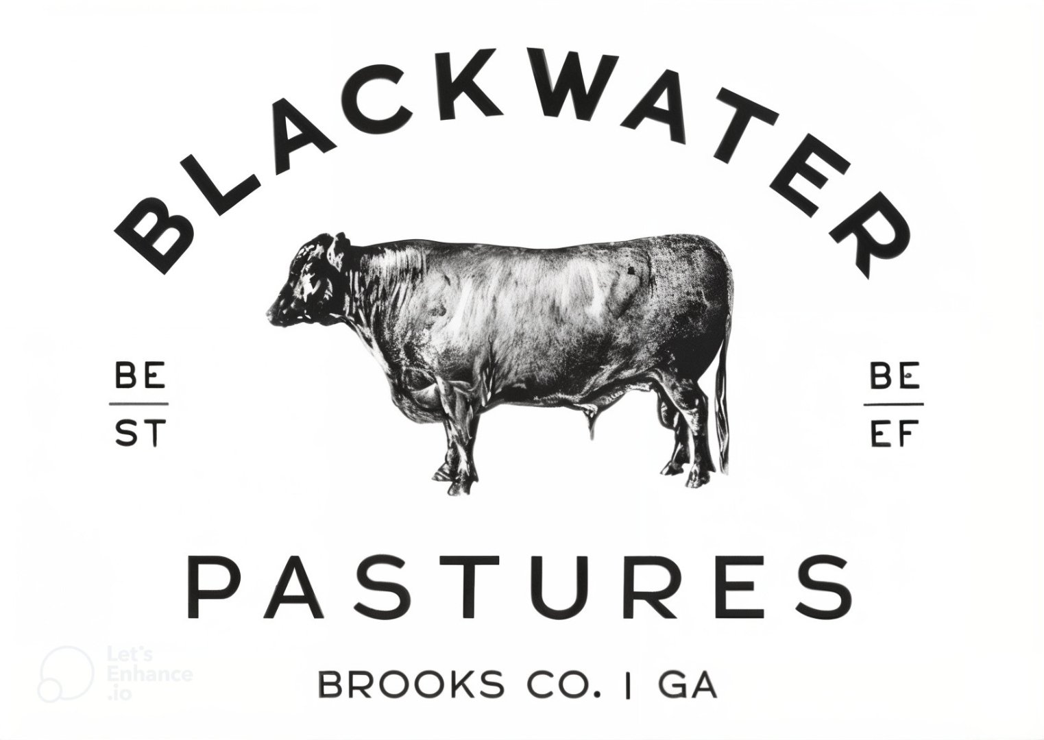 Blackwater Pastures primary logo — arched wordmark with bull illustration and Brooks Co. GA tagline